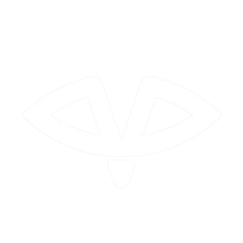 VIISION